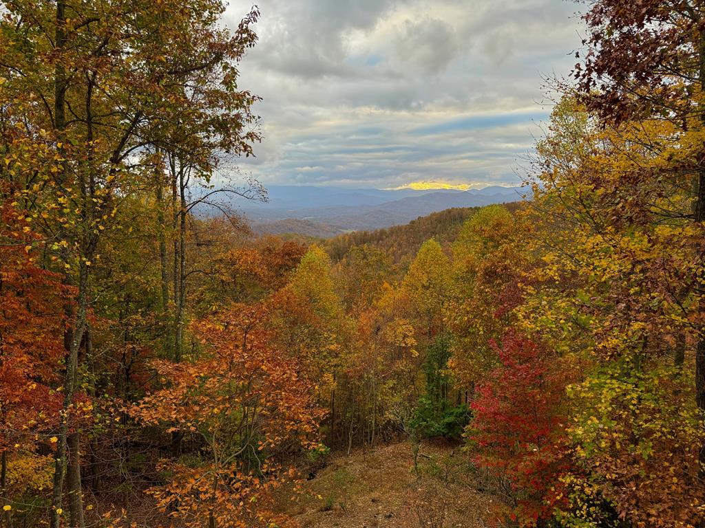 22 Chinquapin Heights