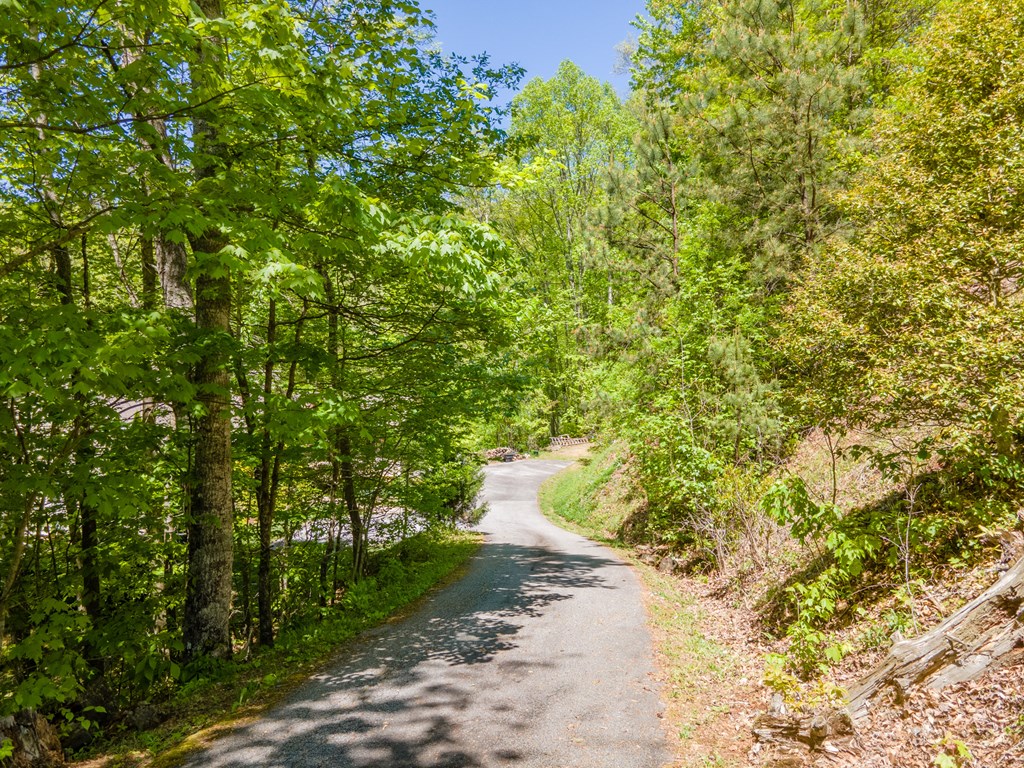 22 Chinquapin Heights