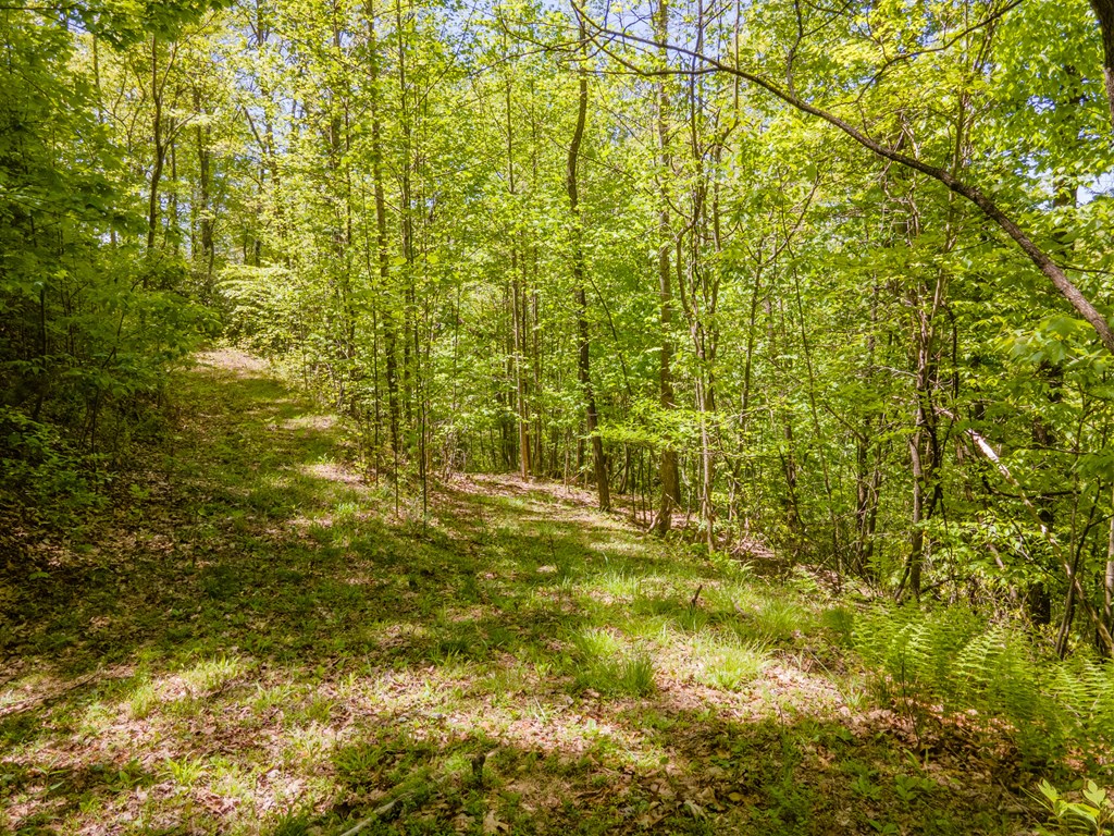 22 Chinquapin Heights
