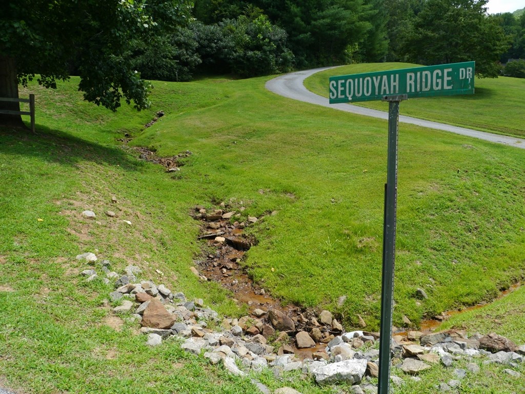 300 Sequoyah View Trail