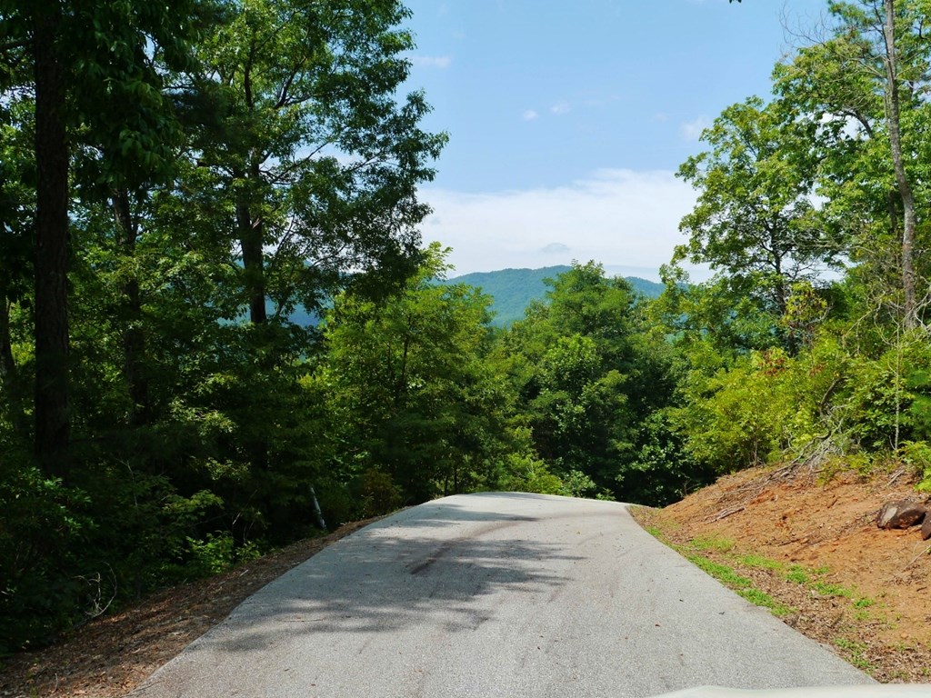 300 Sequoyah View Trail