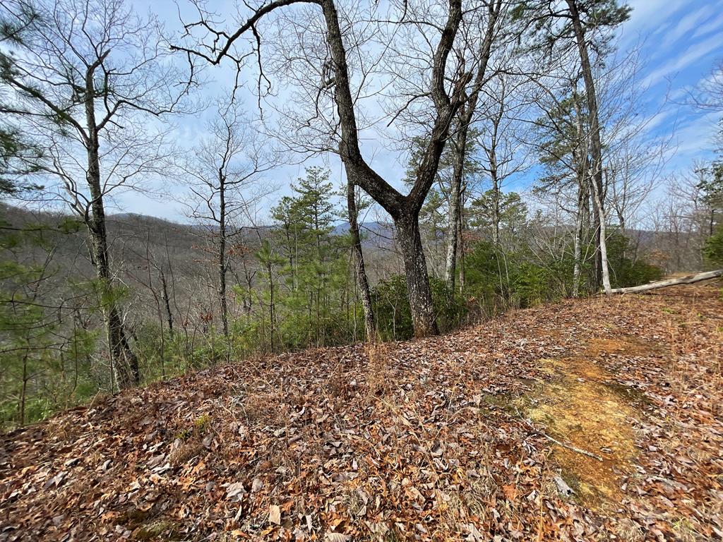300 Sequoyah View Trail