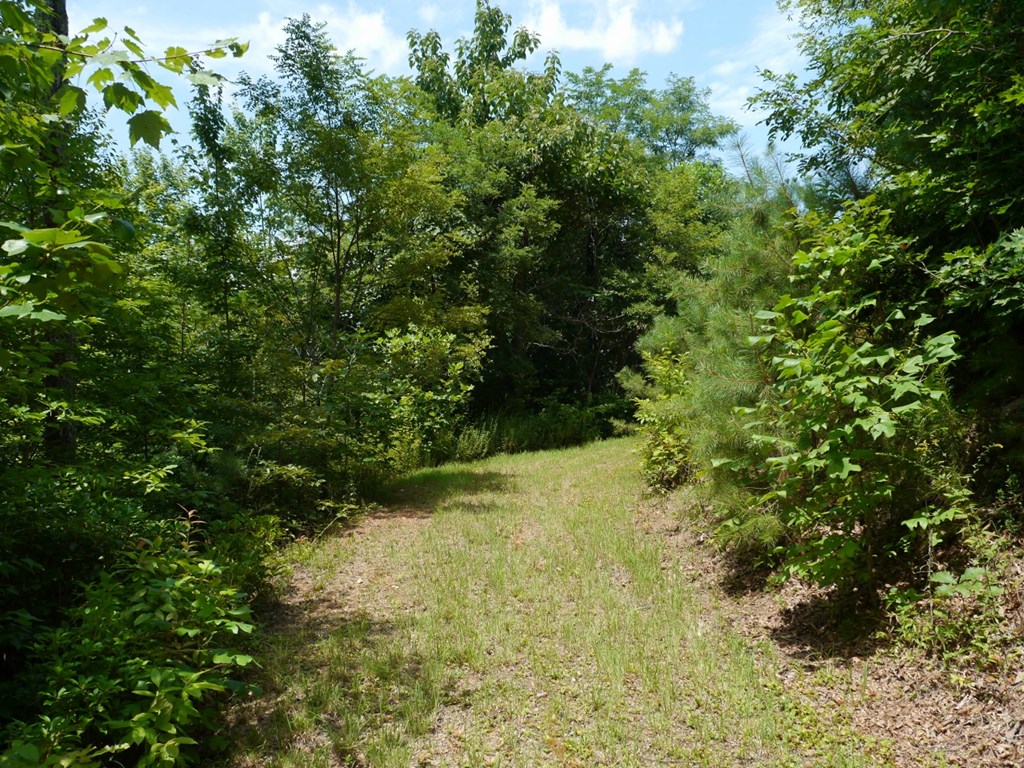 300 Sequoyah View Trail