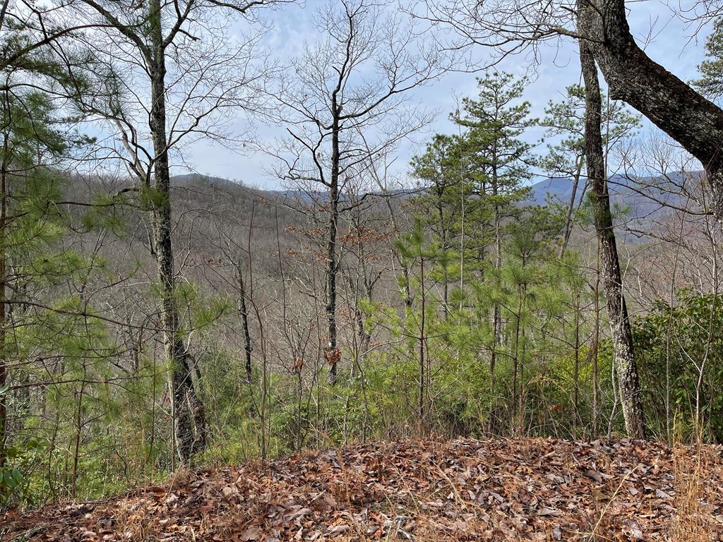 300 Sequoyah View Trail