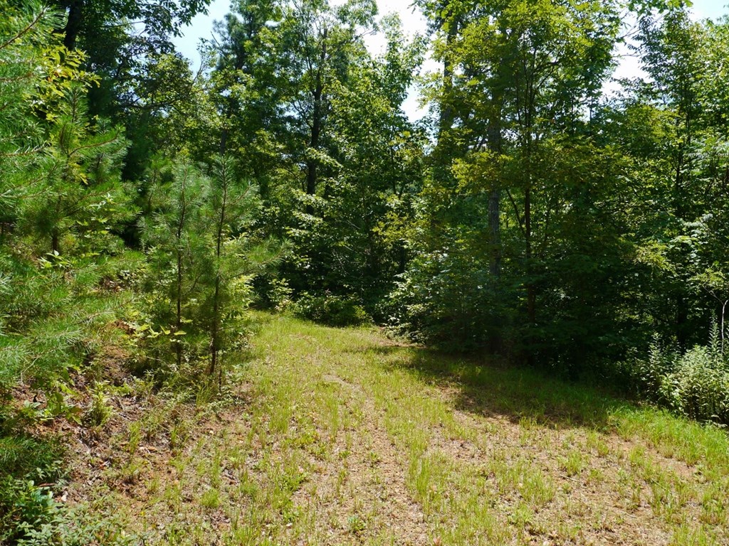 300 Sequoyah View Trail