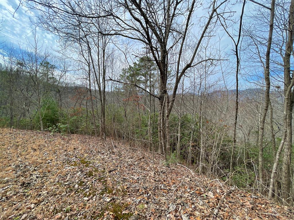300 Sequoyah View Trail
