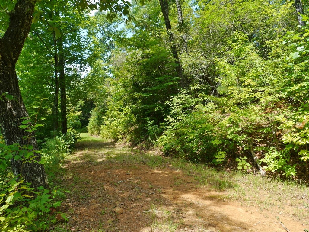 300 Sequoyah View Trail