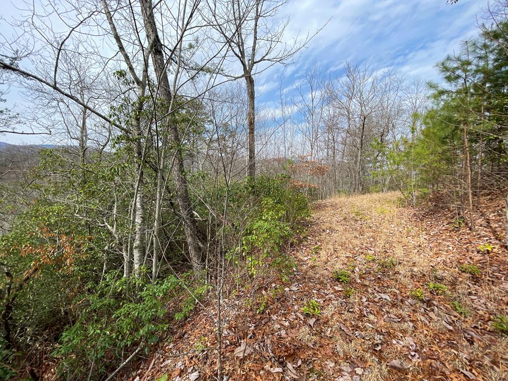 300 Sequoyah View Trail