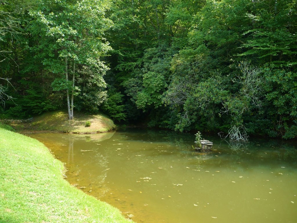 300 Sequoyah View Trail