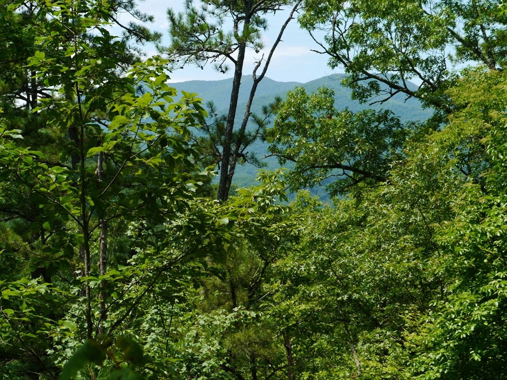 300 Sequoyah View Trail