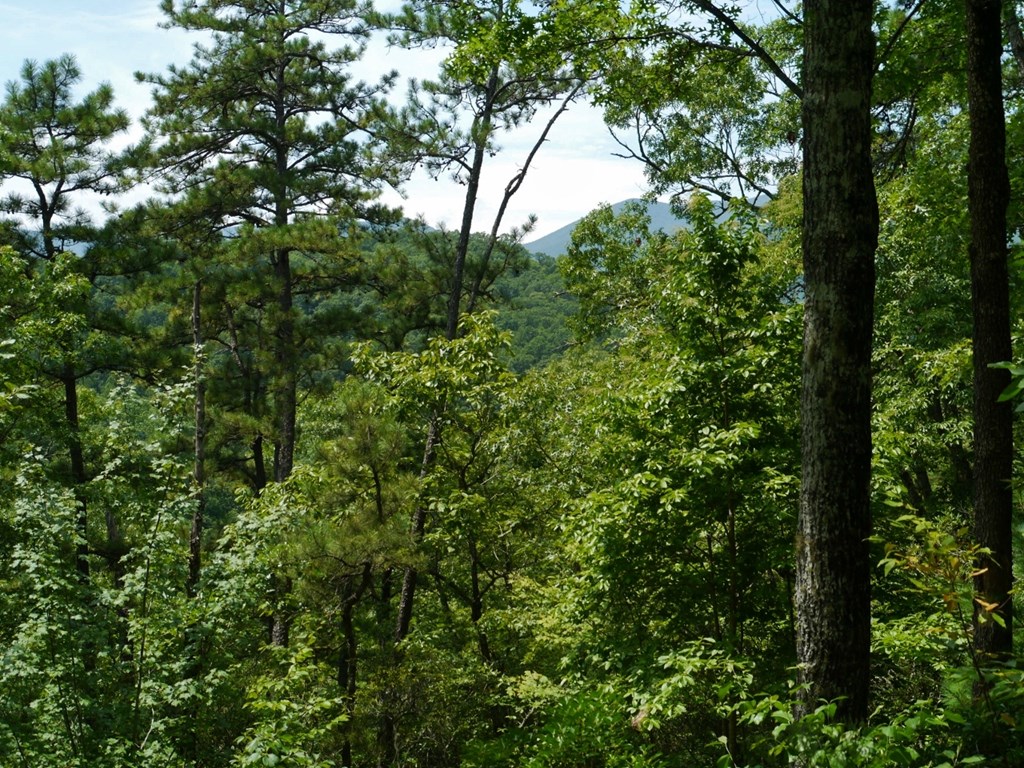300 Sequoyah View Trail