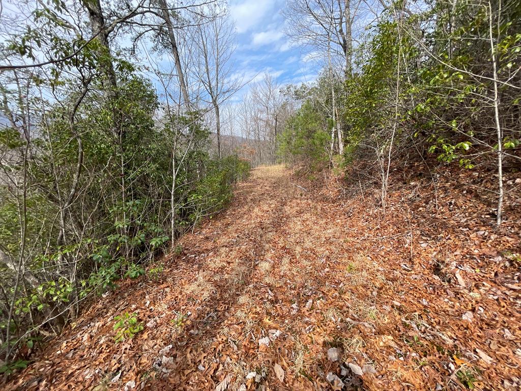 300 Sequoyah View Trail