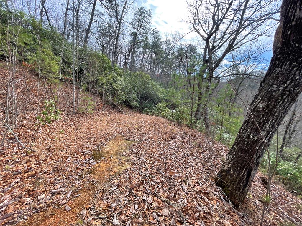 300 Sequoyah View Trail