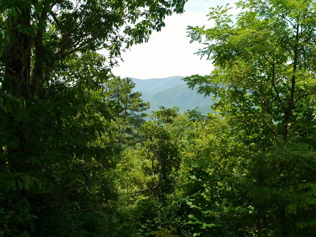 300 Sequoyah View Trail
