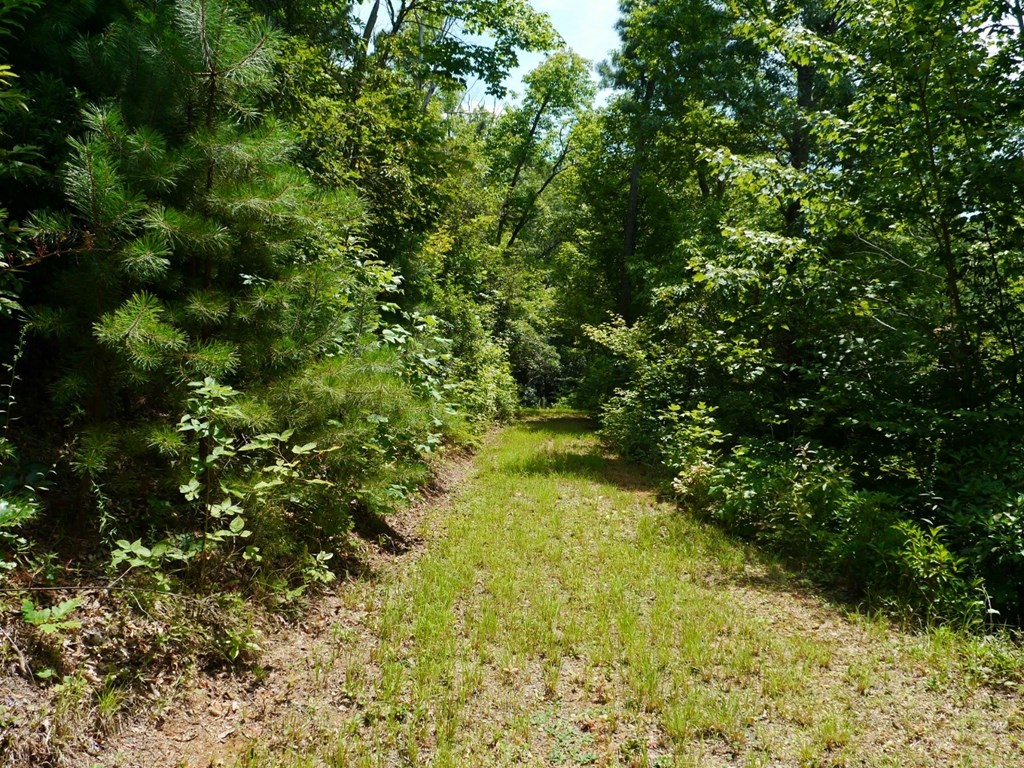 300 Sequoyah View Trail