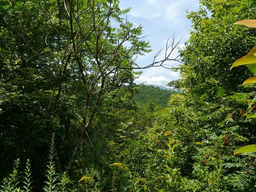 300 Sequoyah View Trail