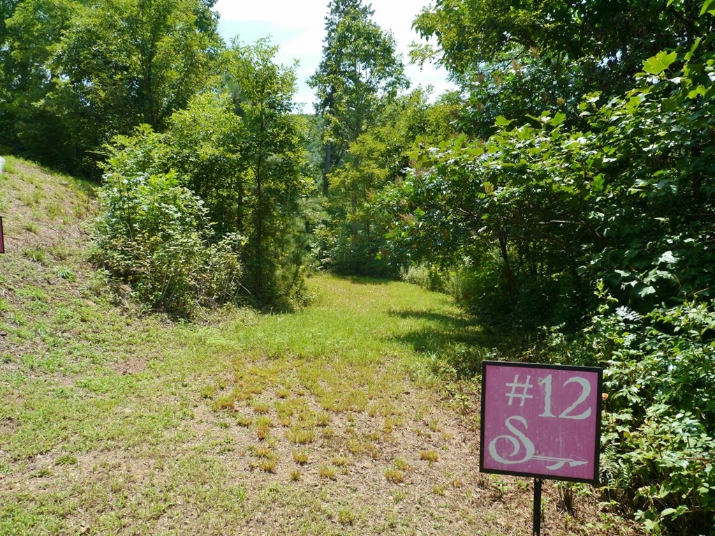 300 Sequoyah View Trail