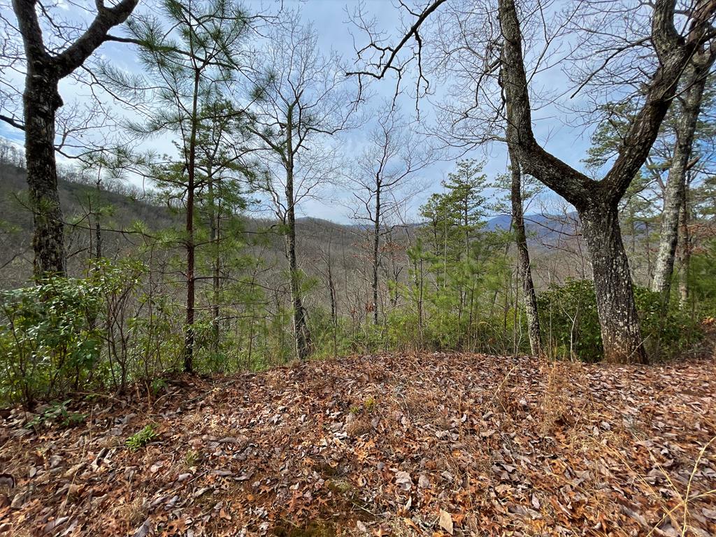 300 Sequoyah View Trail