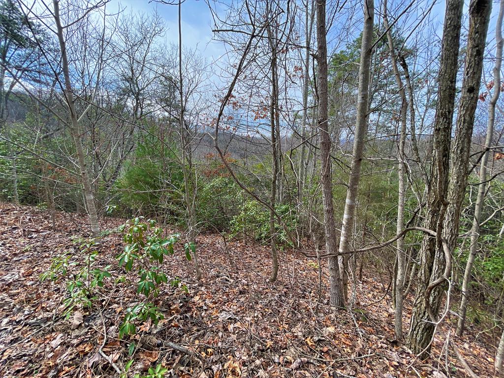 300 Sequoyah View Trail
