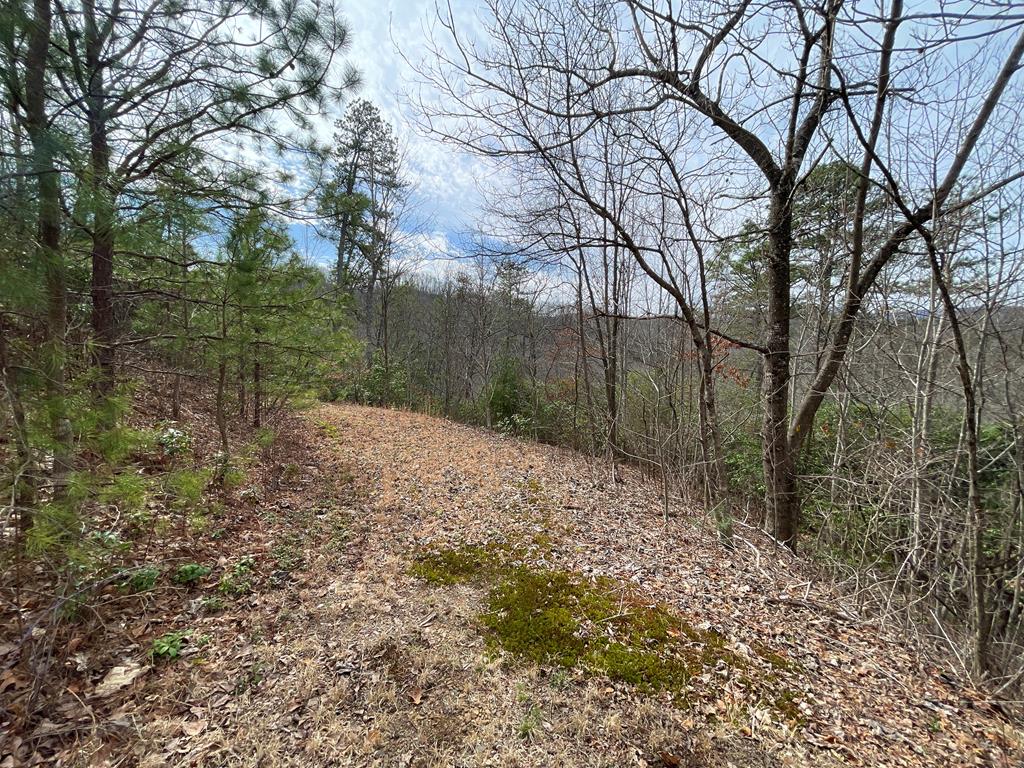 300 Sequoyah View Trail