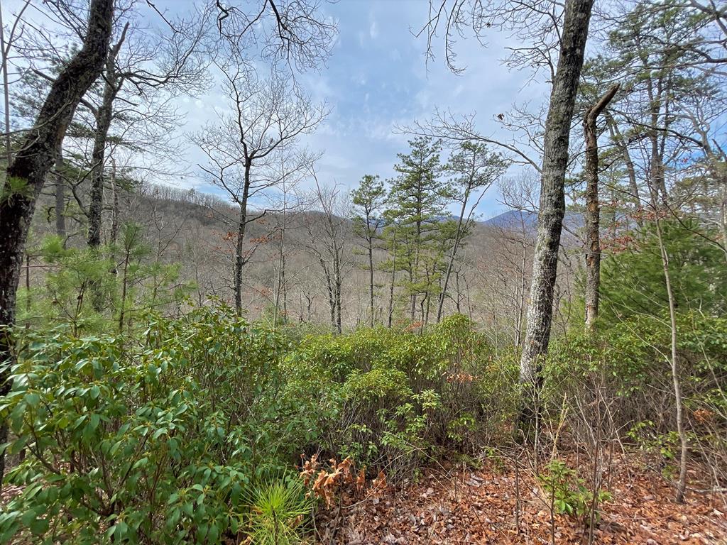 300 Sequoyah View Trail