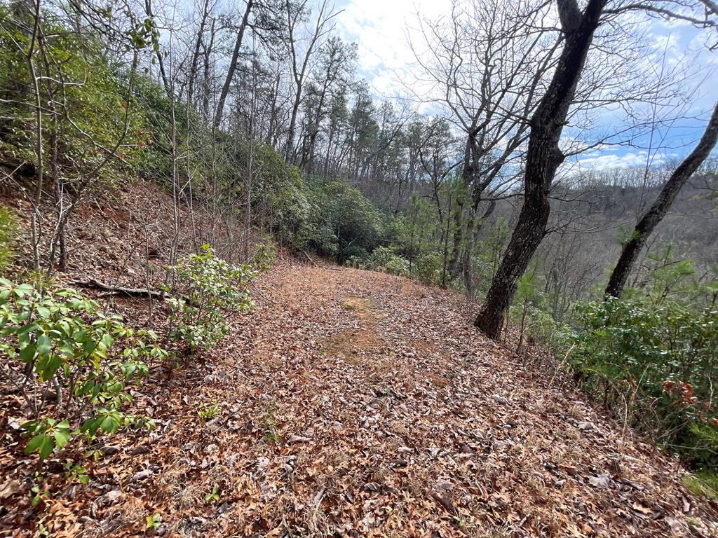 300 Sequoyah View Trail
