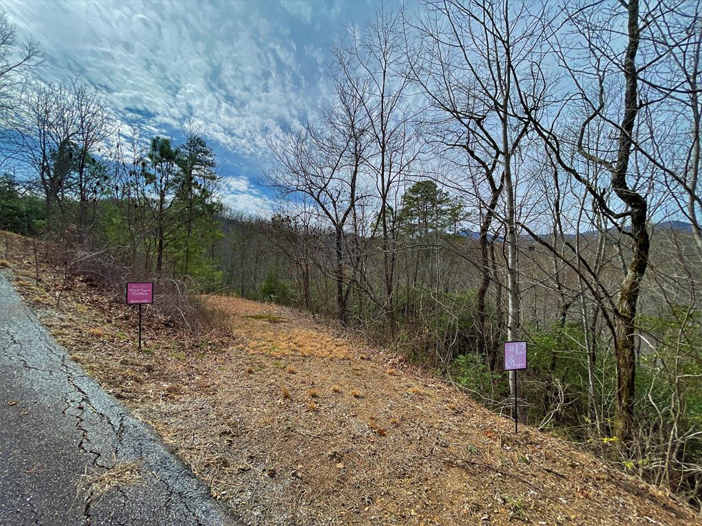 300 Sequoyah View Trail