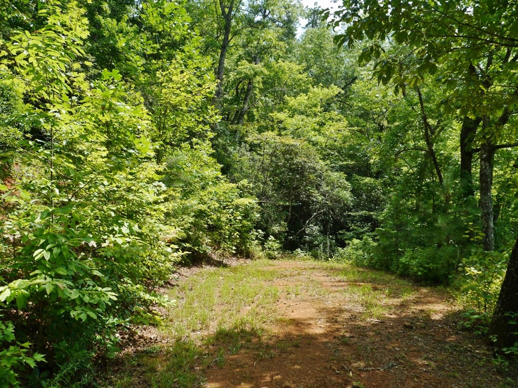 300 Sequoyah View Trail