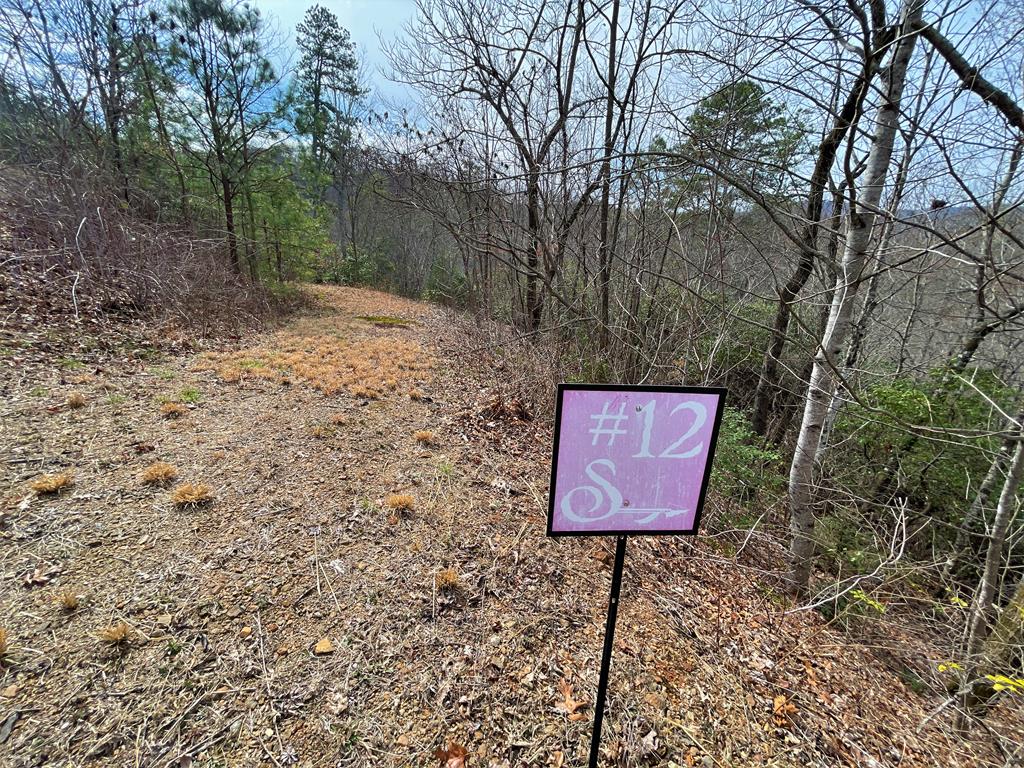300 Sequoyah View Trail