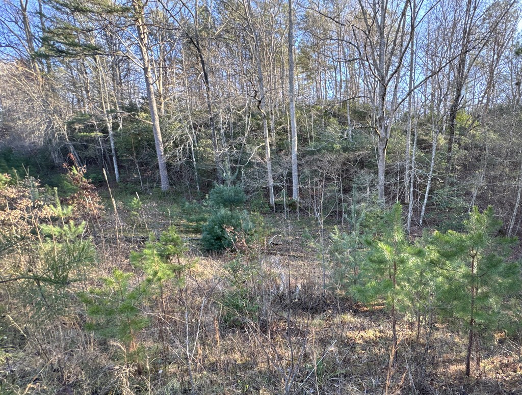 419 Mcgaha Road