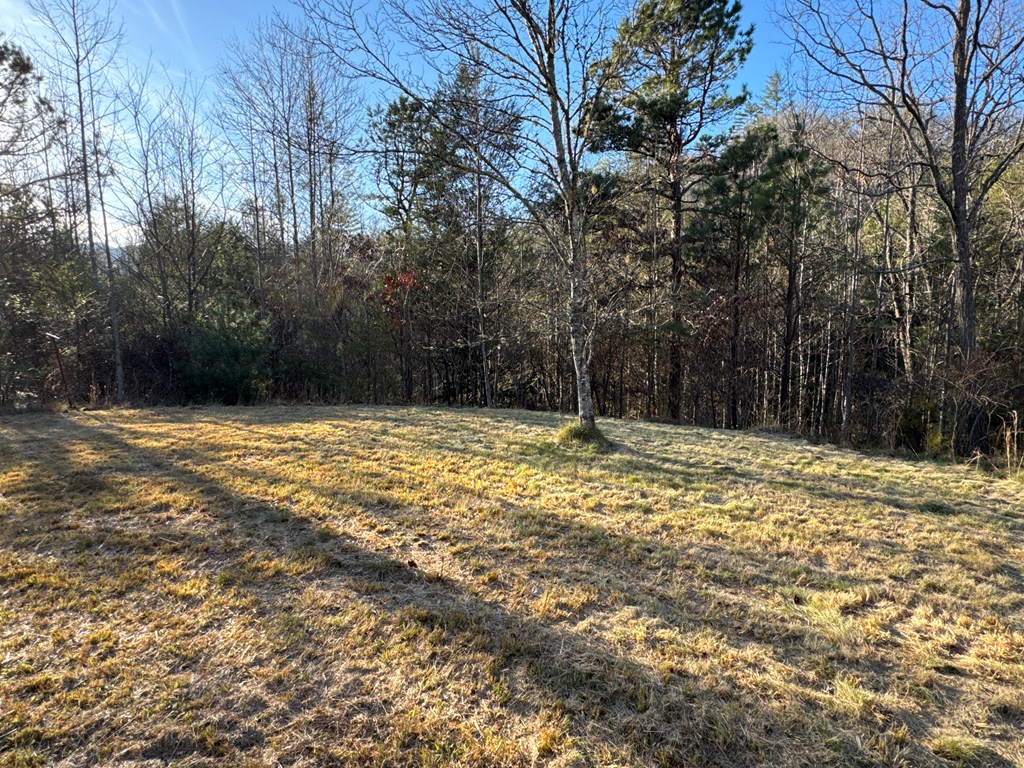 419 Mcgaha Road