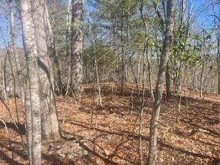 Lot 30 Reserve Rd
