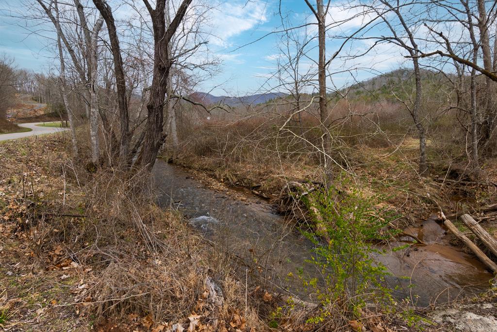 00 Leatherman Gap Road