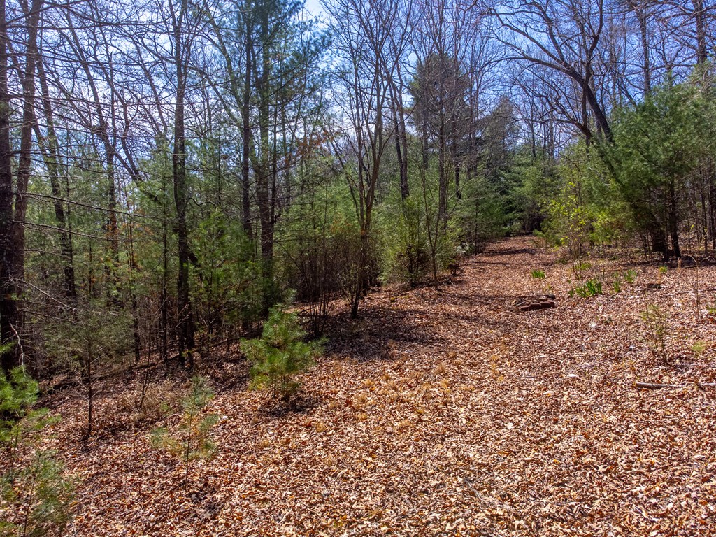 311 Winding Way Drive