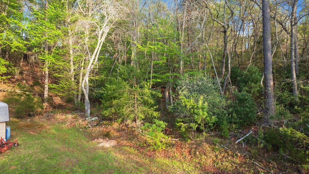 0 Bryson City Rd