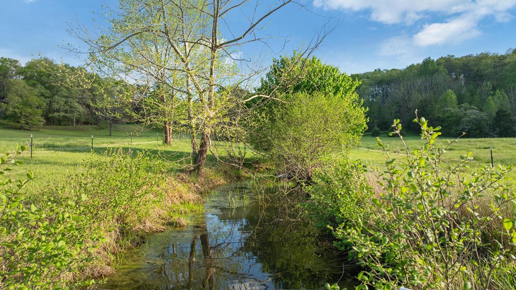 0 Bryson City Rd