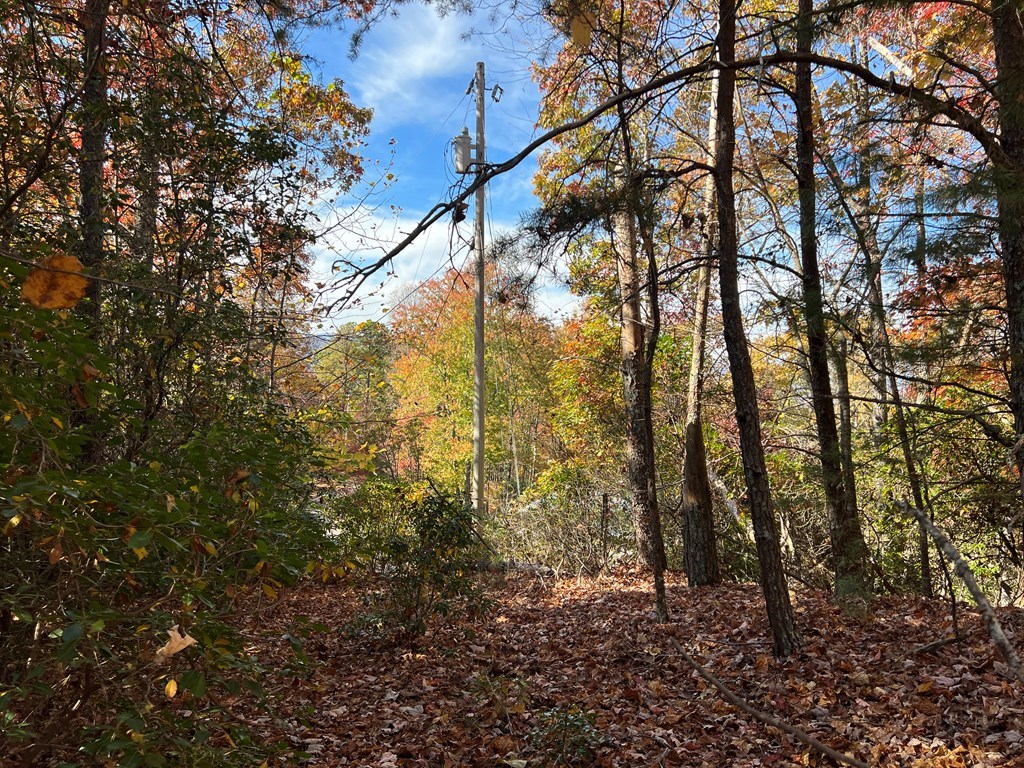 00 Pioneer Village Dr