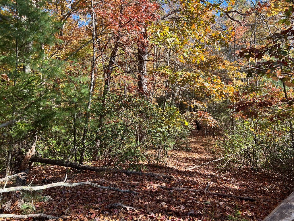 00 Pioneer Village Dr