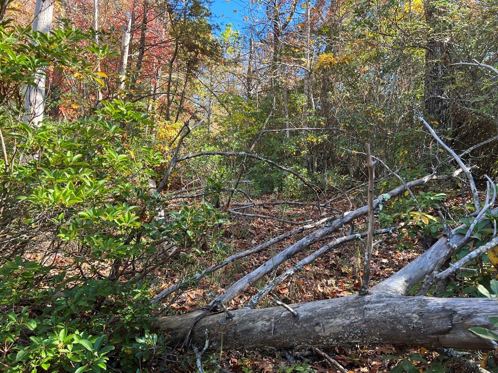 00 Pioneer Village Dr