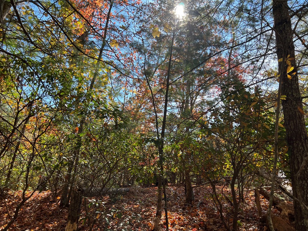 00 Pioneer Village Dr