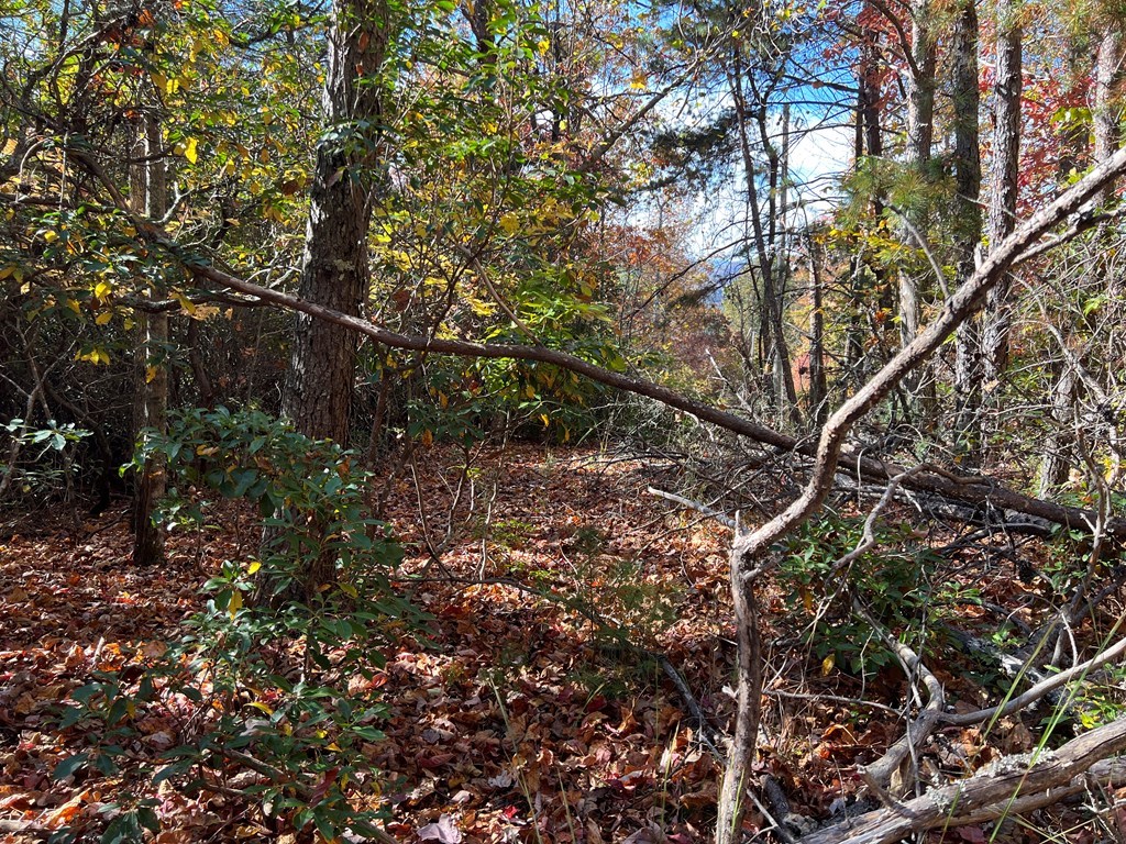 00 Pioneer Village Dr