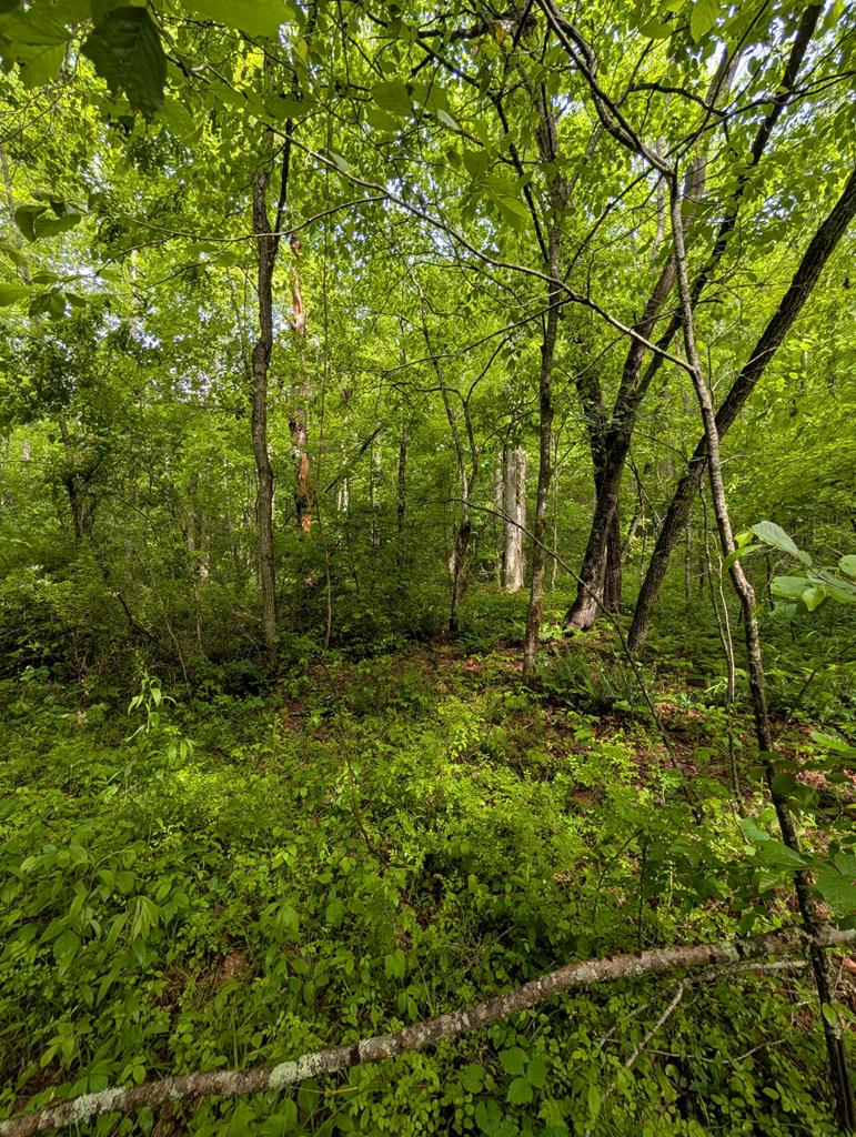 Lot 10 Hide-A-Way Ln