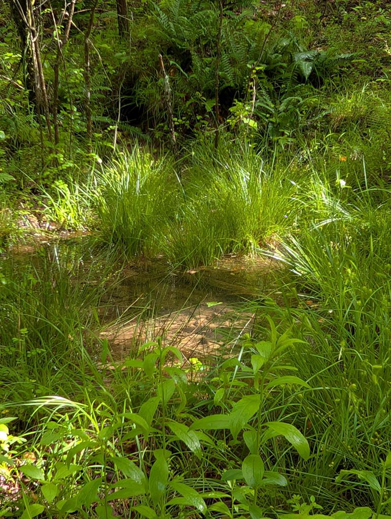 Lot 10 Hide-A-Way Ln