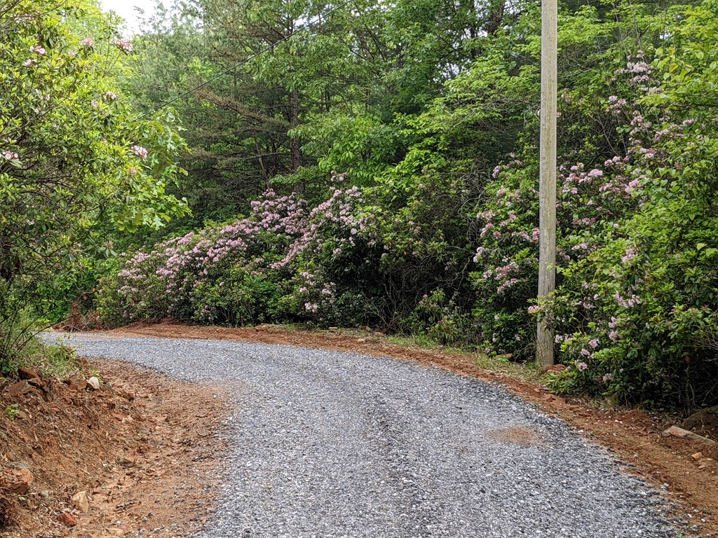 402 Bradley Creek Road