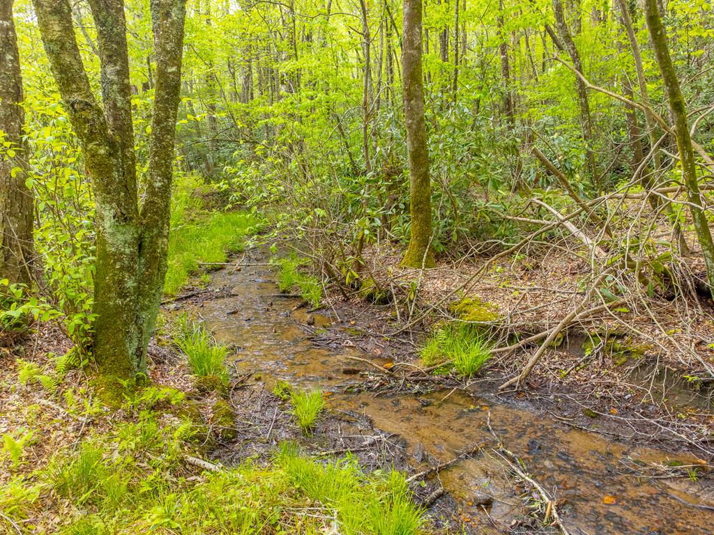 507 Angel Fields Road