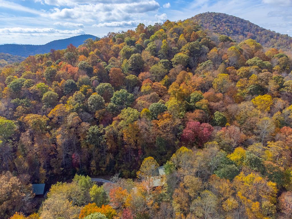 507 Angel Fields Road