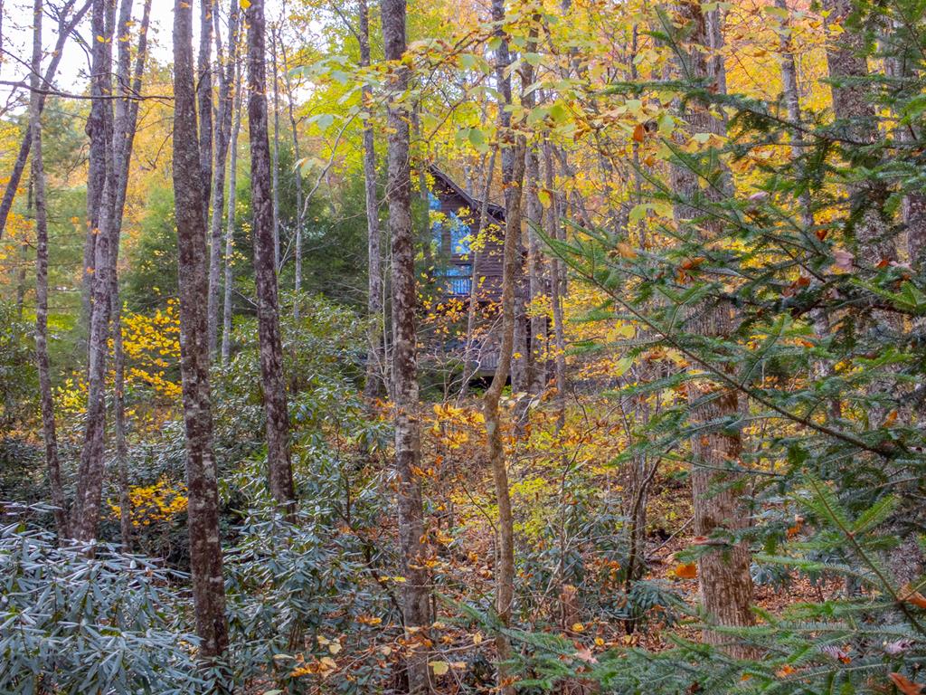 507 Angel Fields Road