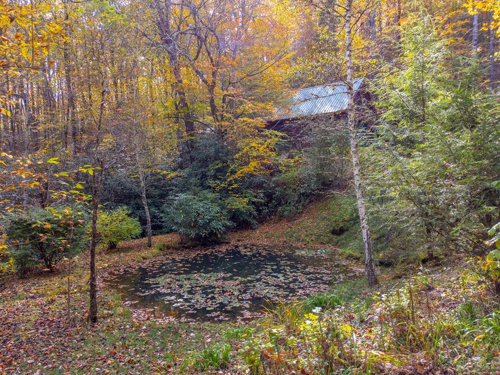 507 Angel Fields Road