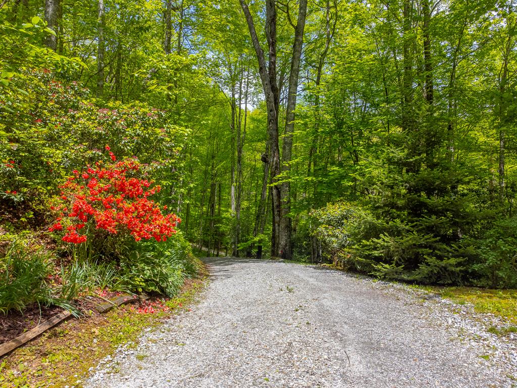 507 Angel Fields Road