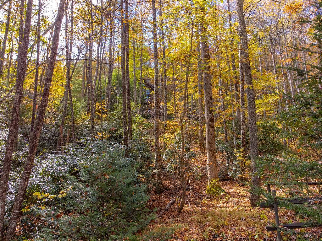 507 Angel Fields Road